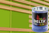 DELTA-FAS PAINT