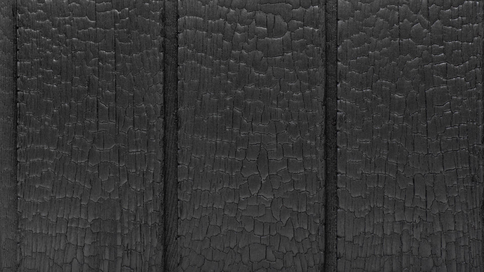 Siberian larch deep charred Larch ALIGATOR